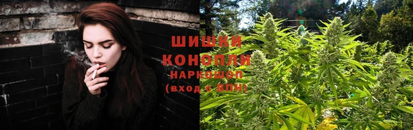 круглые Аркадак